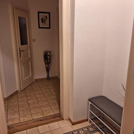 Villa Scs Naehe Wiener Neudorf Bagian luar foto