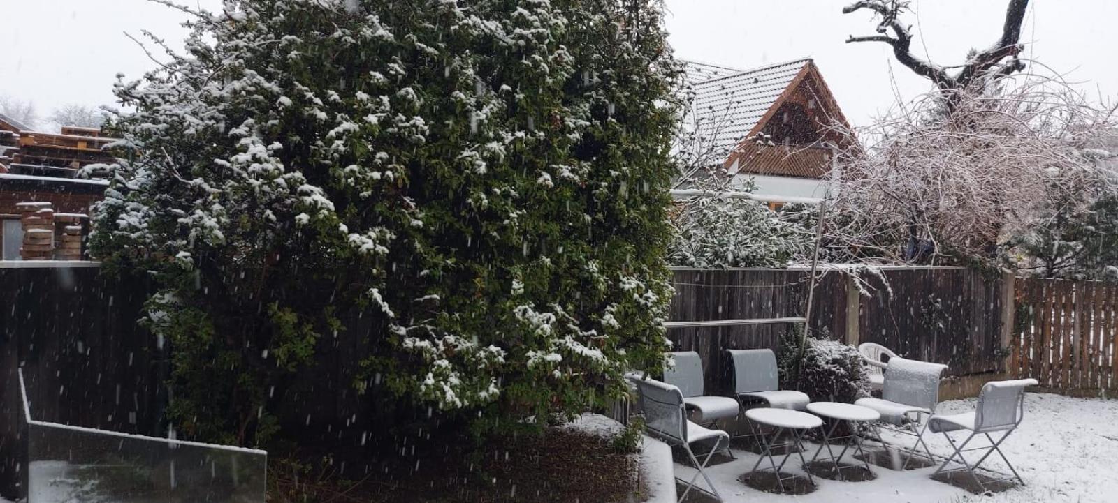 Villa Scs Naehe Wiener Neudorf Bagian luar foto
